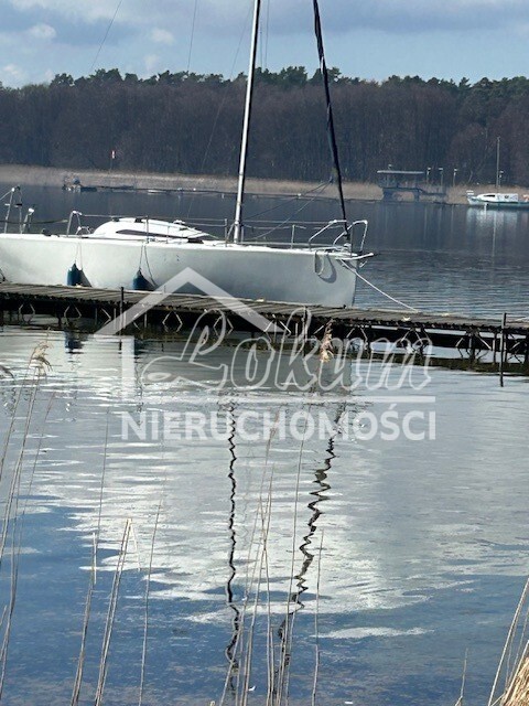 Działka inwestycyjna 7815&nbsp;m², Morzyczyn - zdjęcie 2