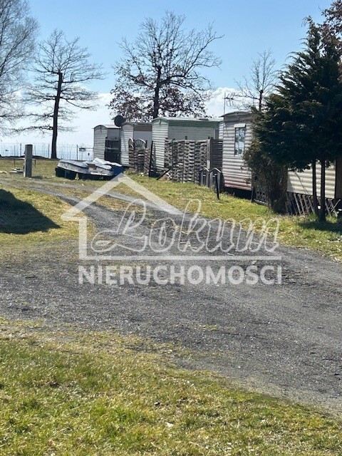 Działka inwestycyjna 7815&nbsp;m², Morzyczyn - zdjęcie 7