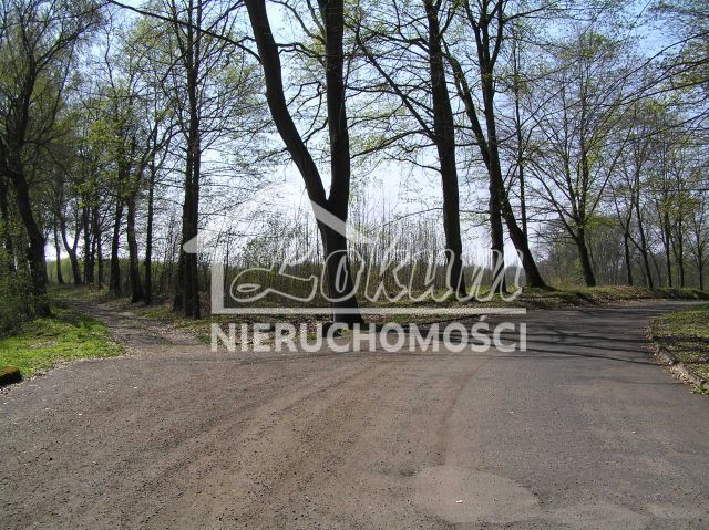 Działka rekreacyjna 701&nbsp;m², Dobra - zdjęcie 19