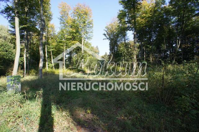 Działka rekreacyjna 701&nbsp;m², Dobra - zdjęcie 2