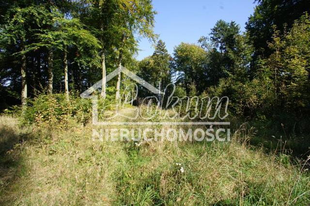 Działka rekreacyjna 701&nbsp;m², Dobra - zdjęcie 12