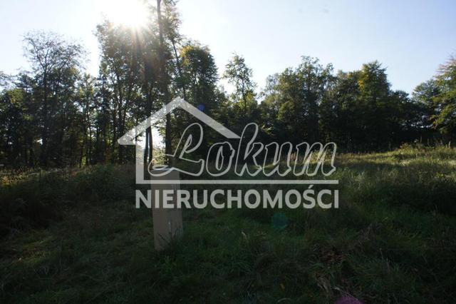 Działka rekreacyjna 701&nbsp;m², Dobra - zdjęcie 6