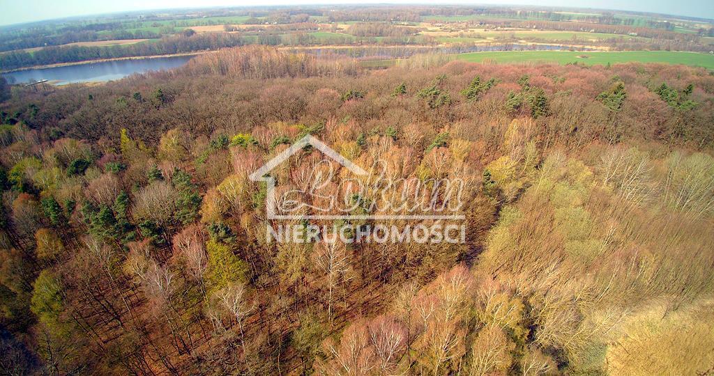 Działka rekreacyjna 701&nbsp;m², Dobra - zdjęcie 16