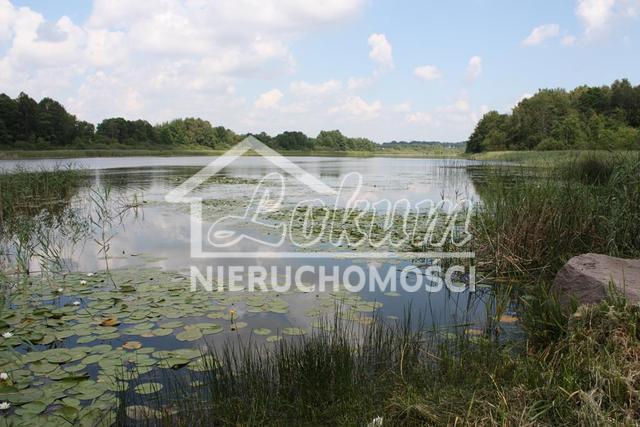 Działka rekreacyjna 701&nbsp;m², Dobra - zdjęcie 9