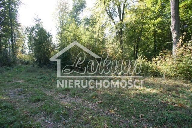 Działka rekreacyjna 701&nbsp;m², Dobra - zdjęcie 11