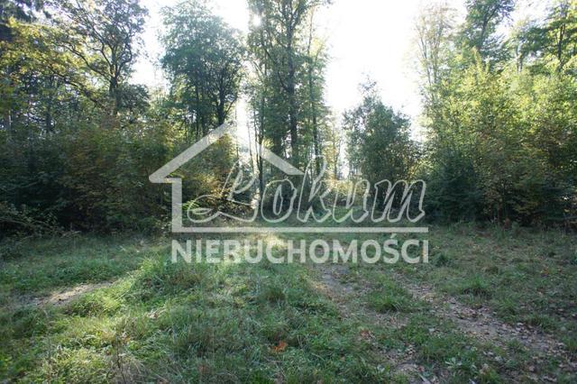 Działka rekreacyjna 701&nbsp;m², Dobra - zdjęcie 7