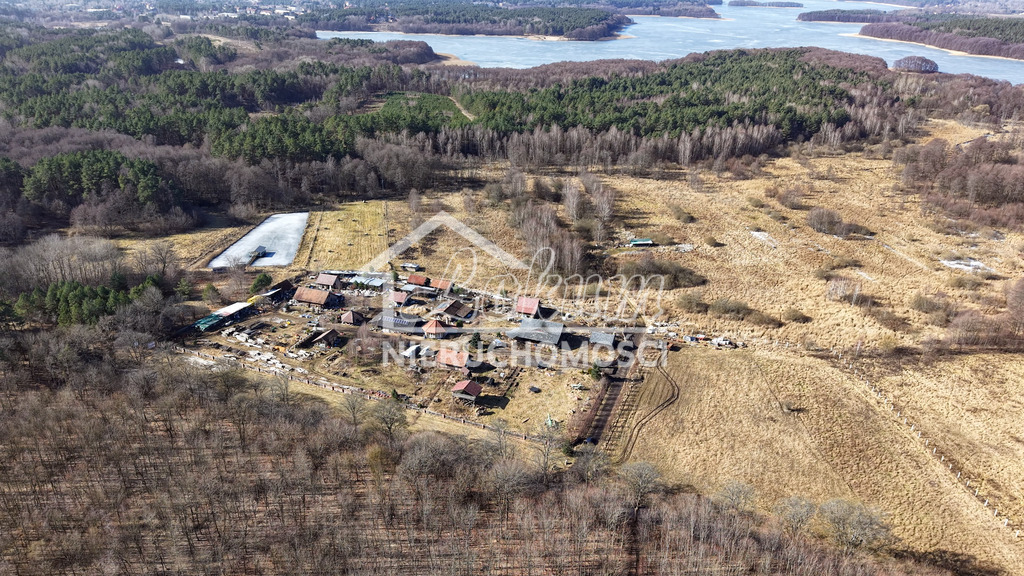 Działka gospodarstwo 3000 m², Krągi - zdjęcie 8