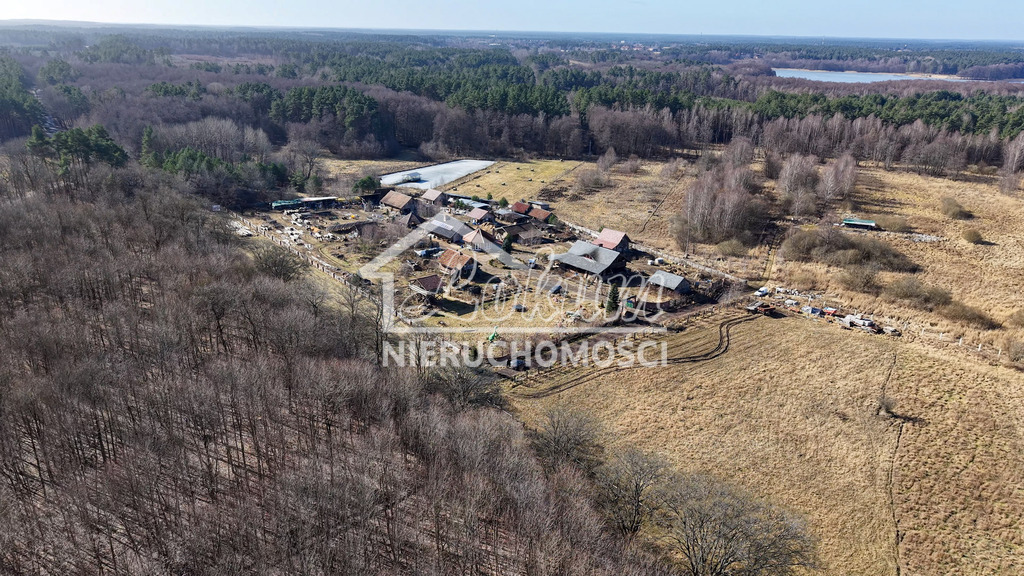 Działka gospodarstwo 3000 m², Krągi - zdjęcie 7