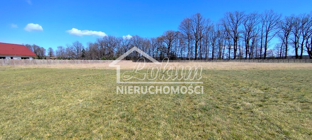 Działka budowlana 3005&nbsp;m², Zabierzewo - zdjęcie 18