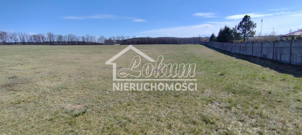 Działka budowlana 3005&nbsp;m², Zabierzewo - zdjęcie 6