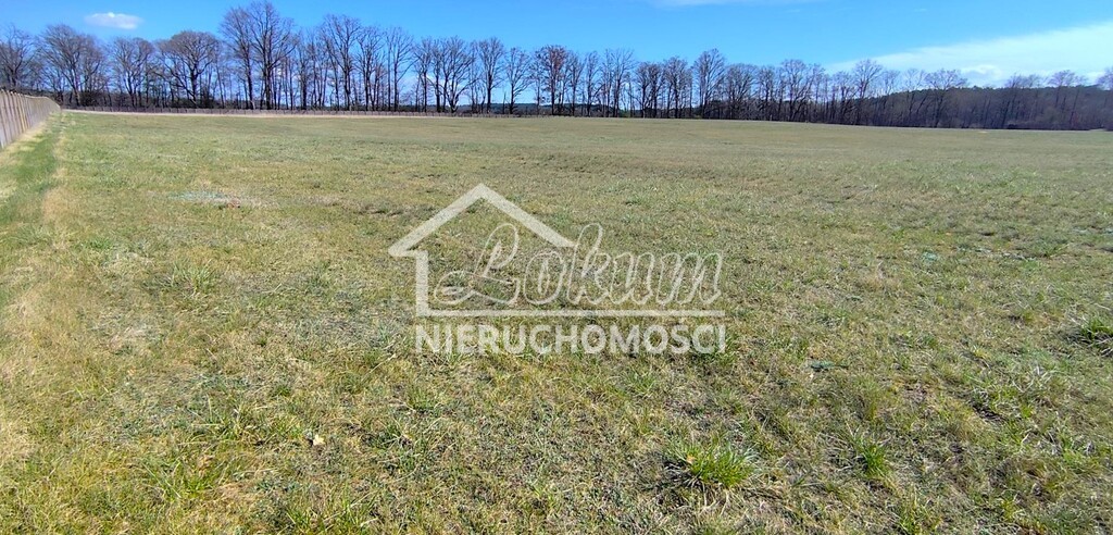 Działka budowlana 3005&nbsp;m², Zabierzewo - zdjęcie 15