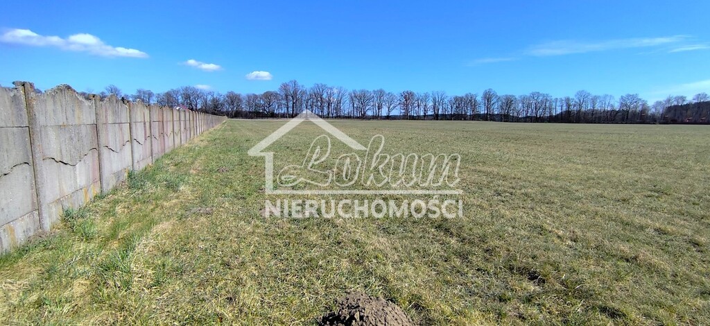 Działka budowlana 3005&nbsp;m², Zabierzewo - zdjęcie 8
