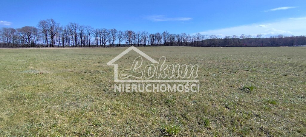 Działka budowlana 3005&nbsp;m², Zabierzewo - zdjęcie 16