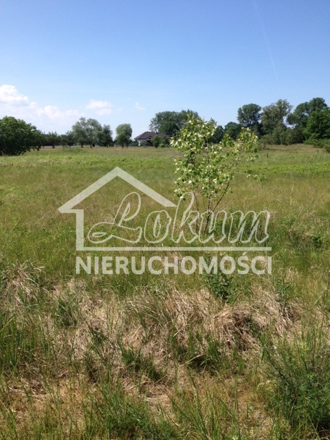 Działka rekreacyjna 1538&nbsp;m², Lubczyna, Kasztanowa - zdjęcie 4