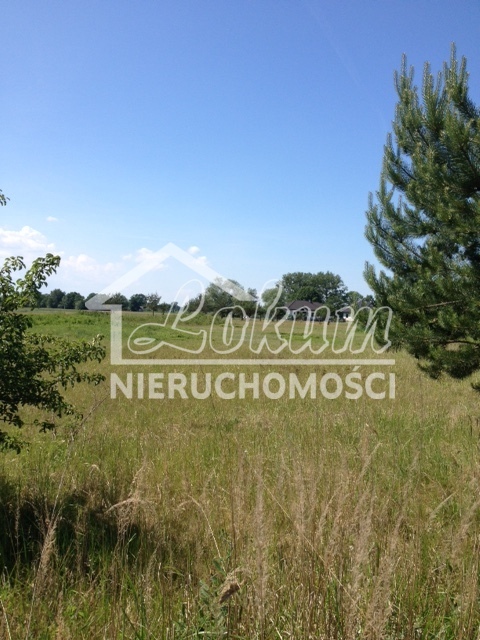 Działka rekreacyjna 1538&nbsp;m², Lubczyna, Kasztanowa - zdjęcie 3