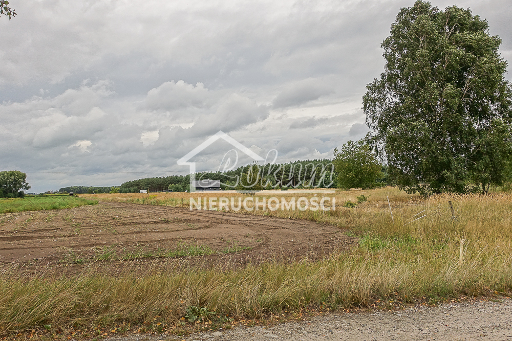 Działka rolna 1538&nbsp;m², Lubczyna, Kasztanowa - zdjęcie 18