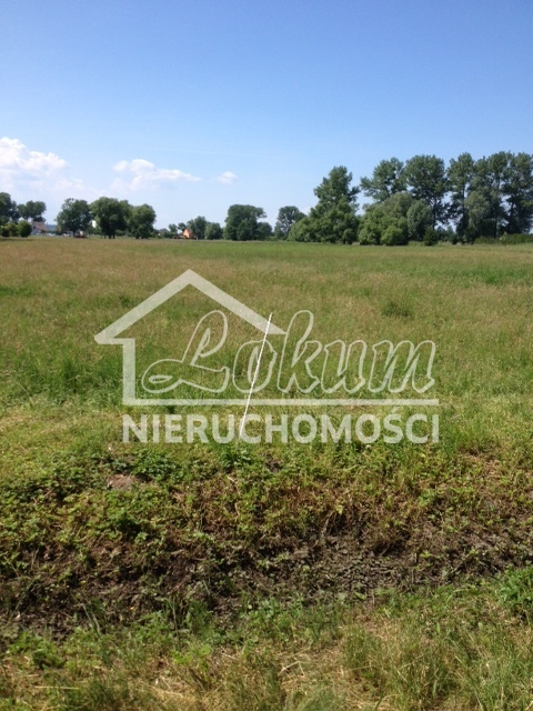 Działka rekreacyjna 1538&nbsp;m², Lubczyna, Kasztanowa - zdjęcie 2