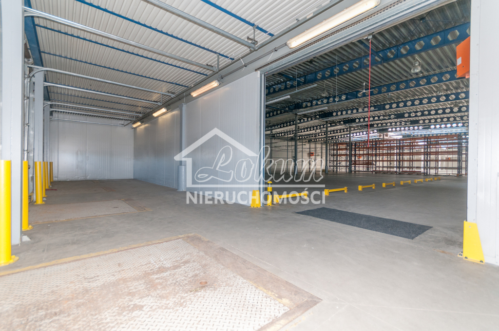 Magazyn do wynajęcia, 4700&nbsp;m², Szczecin - zdjęcie 5
