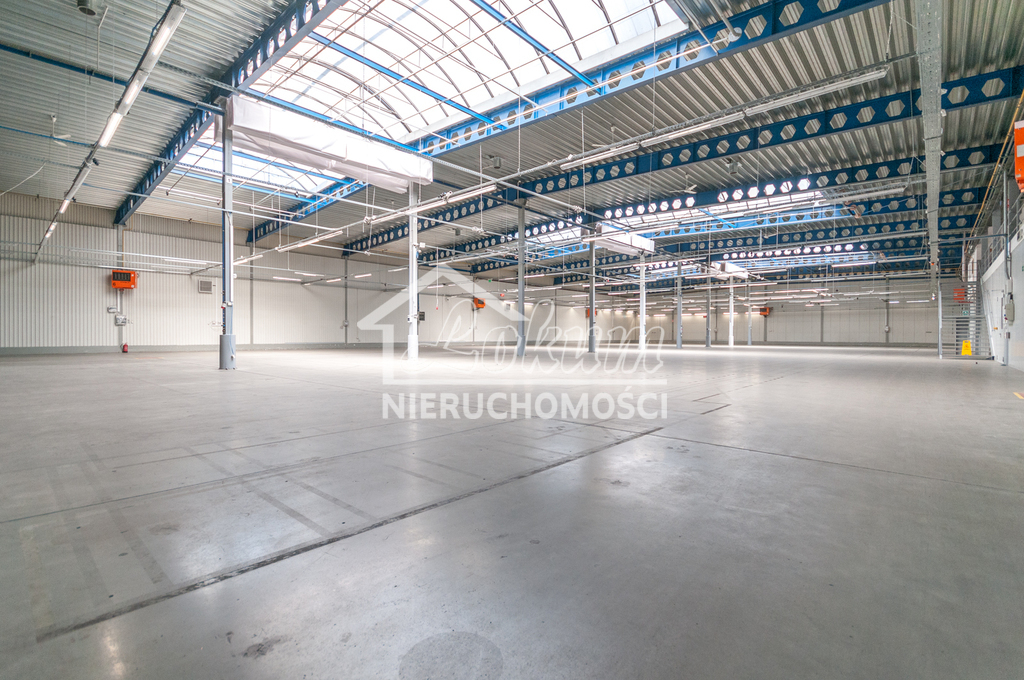 Magazyn do wynajęcia, 4700&nbsp;m², Szczecin - zdjęcie 7