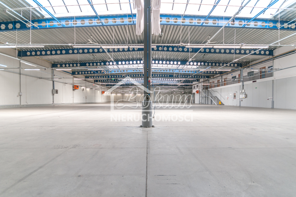 Magazyn do wynajęcia, 4700&nbsp;m², Szczecin - zdjęcie 8
