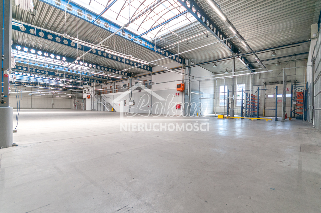 Magazyn do wynajęcia, 4700&nbsp;m², Szczecin - zdjęcie 9