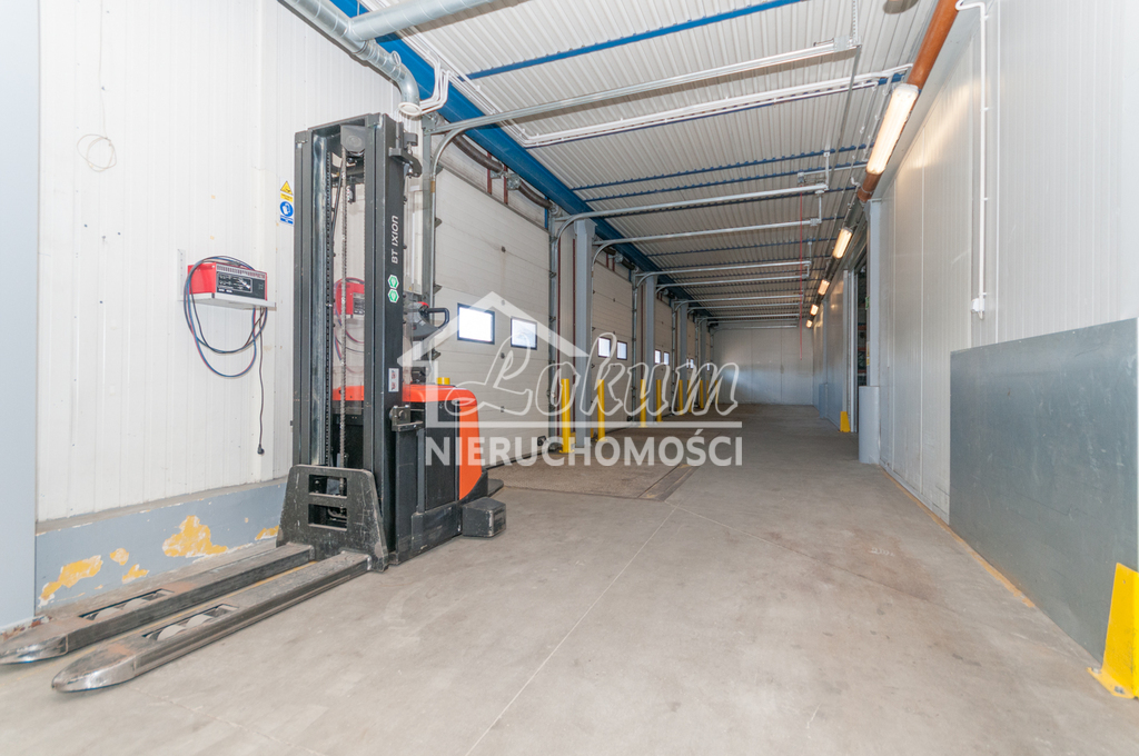 Magazyn do wynajęcia, 4700&nbsp;m², Szczecin - zdjęcie 6