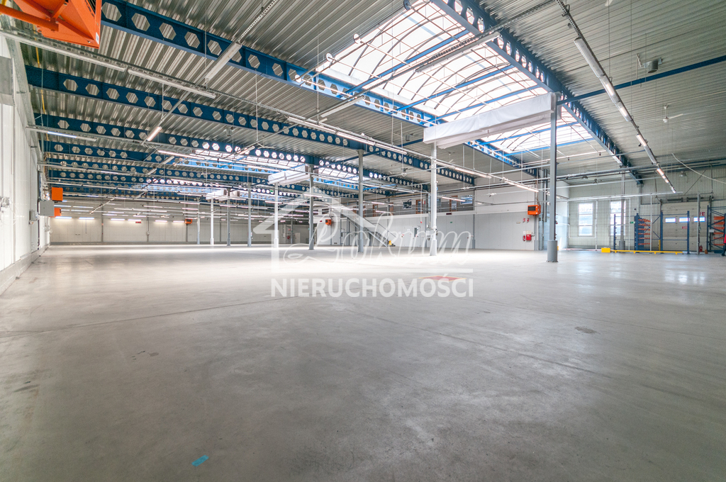 Magazyn do wynajęcia, 4700&nbsp;m², Szczecin - zdjęcie 10