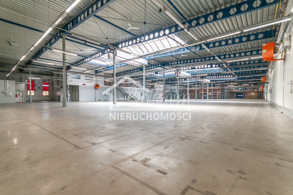 Magazyn do wynajęcia, 4700&nbsp;m², Szczecin - zdjęcie 12
