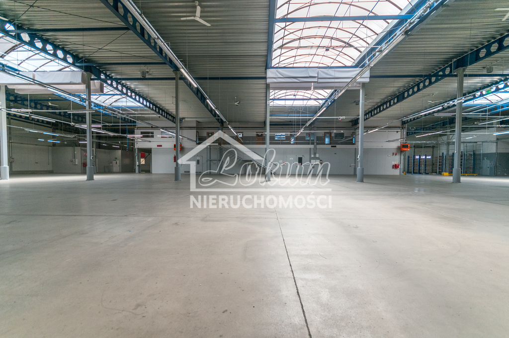 Magazyn do wynajęcia, 4700&nbsp;m², Szczecin - zdjęcie 11