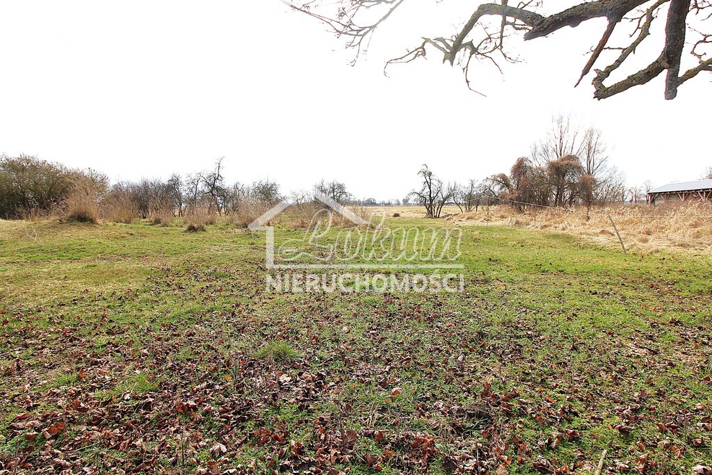 Działka rolna 3305&nbsp;m², Kopice - zdjęcie 3