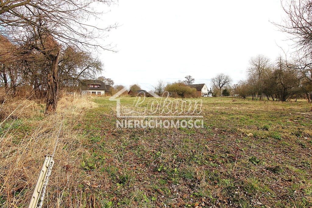 Działka rolna 3305&nbsp;m², Kopice - zdjęcie 1