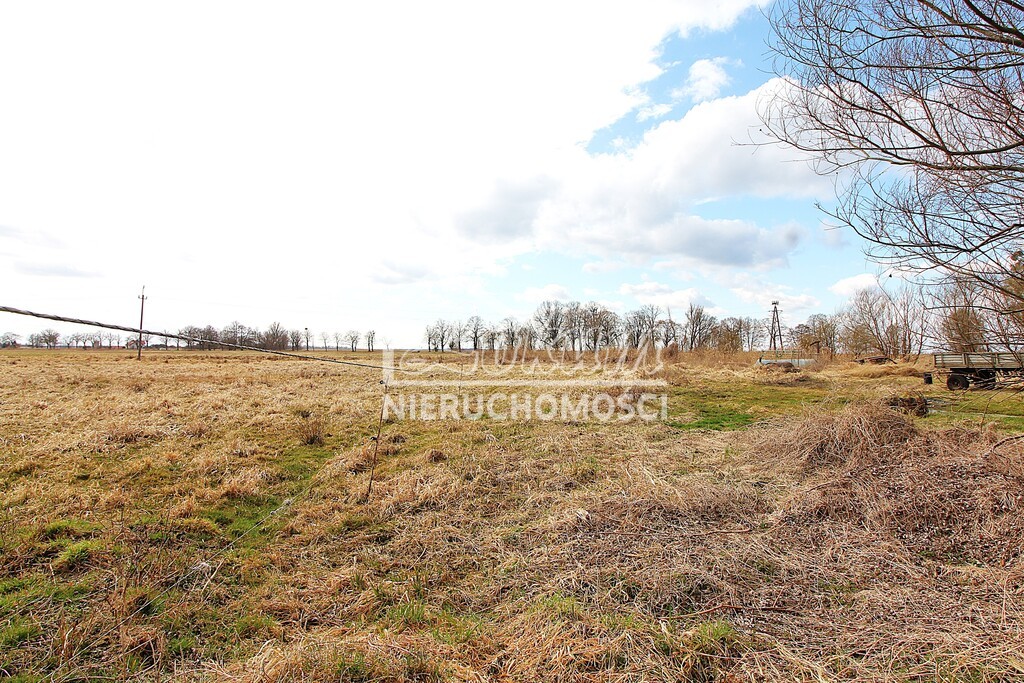 Działka rolna 3305&nbsp;m², Kopice - zdjęcie 4