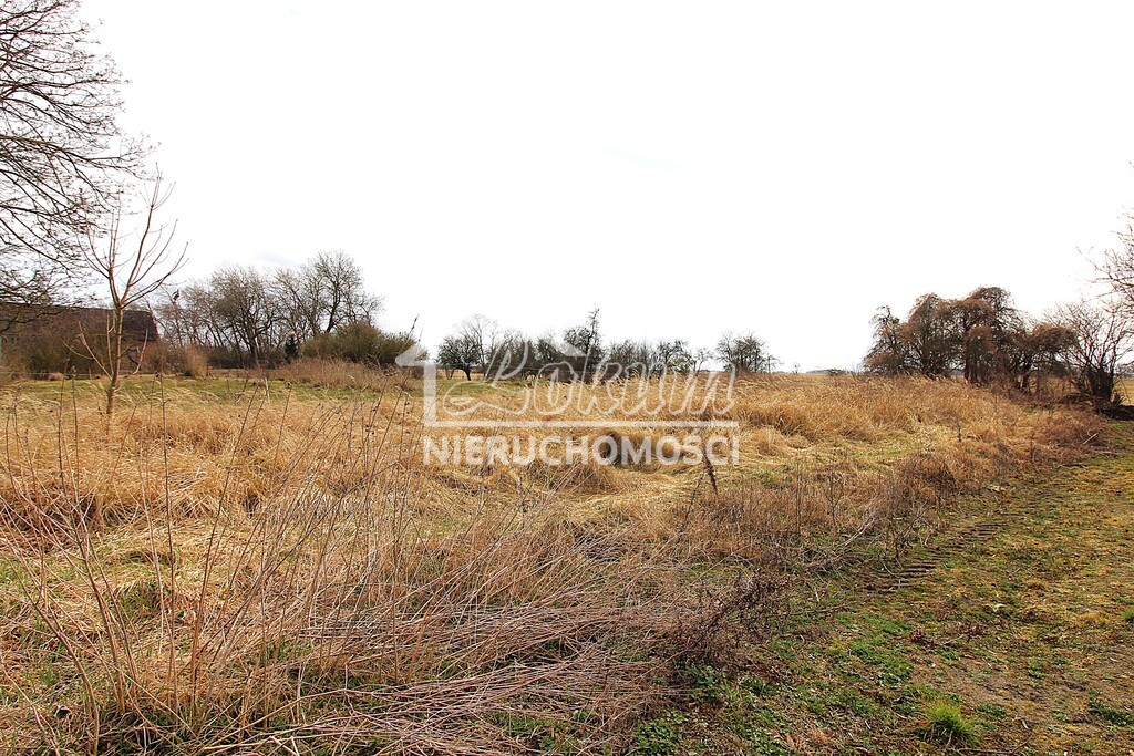 Działka rolna 3305&nbsp;m², Kopice - zdjęcie 2