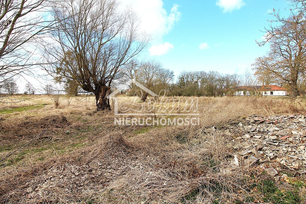 Działka rolna 3305&nbsp;m², Kopice - zdjęcie 5