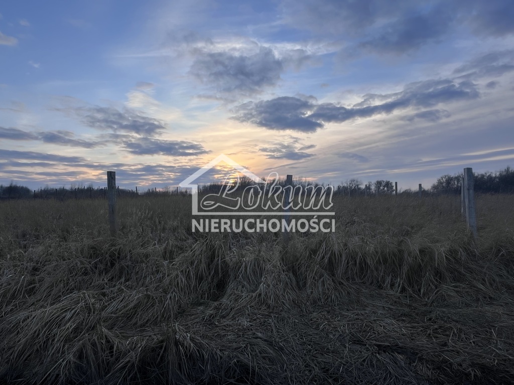 Działka budowlana 1200&nbsp;m², Szczecin - zdjęcie 3