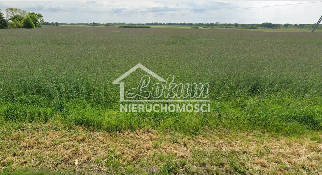 Działka budowlana 1200&nbsp;m², Maszewo - zdjęcie 1