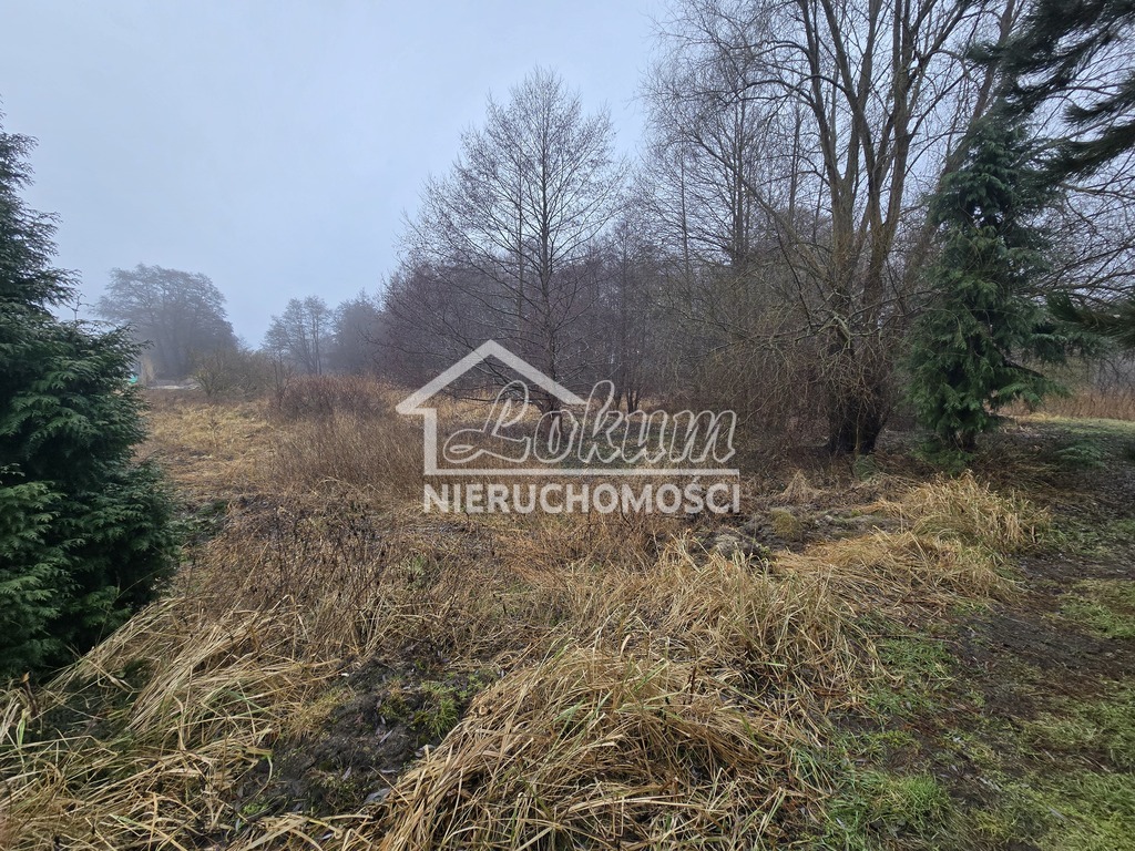 Działka rekreacyjna 4200&nbsp;m², Trzebież - zdjęcie 2