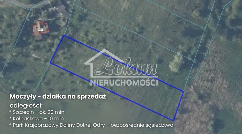 Działka rolna 3159 m², Moczyły - zdjęcie 2