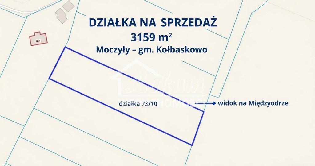 Działka rolna 3159 m², Moczyły - zdjęcie 4