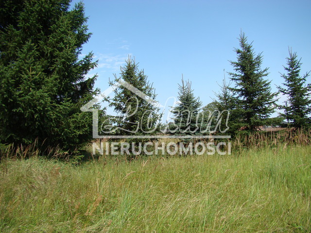 Działka inwestycyjna 2,02&nbsp;ha, Kobylanka - zdjęcie 14