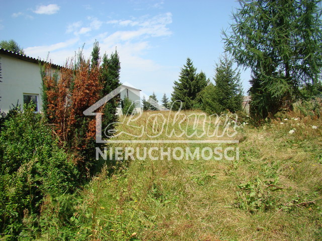 Działka inwestycyjna 2,02&nbsp;ha, Kobylanka - zdjęcie 12