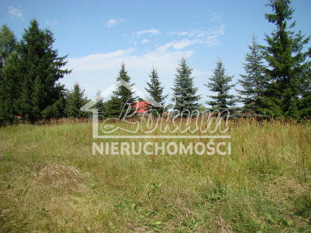 Działka inwestycyjna 2,02&nbsp;ha, Kobylanka - zdjęcie 13