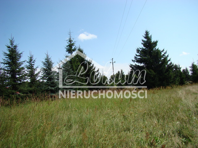 Działka inwestycyjna 2,02&nbsp;ha, Kobylanka - zdjęcie 15