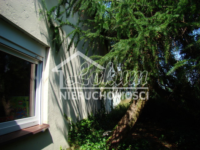 Działka inwestycyjna 2,02&nbsp;ha, Kobylanka - zdjęcie 8