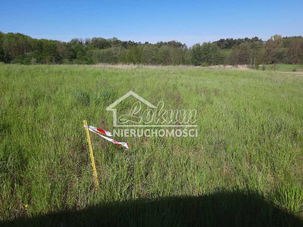 Działka budowlana 1059 m², Czepino - zdjęcie 4