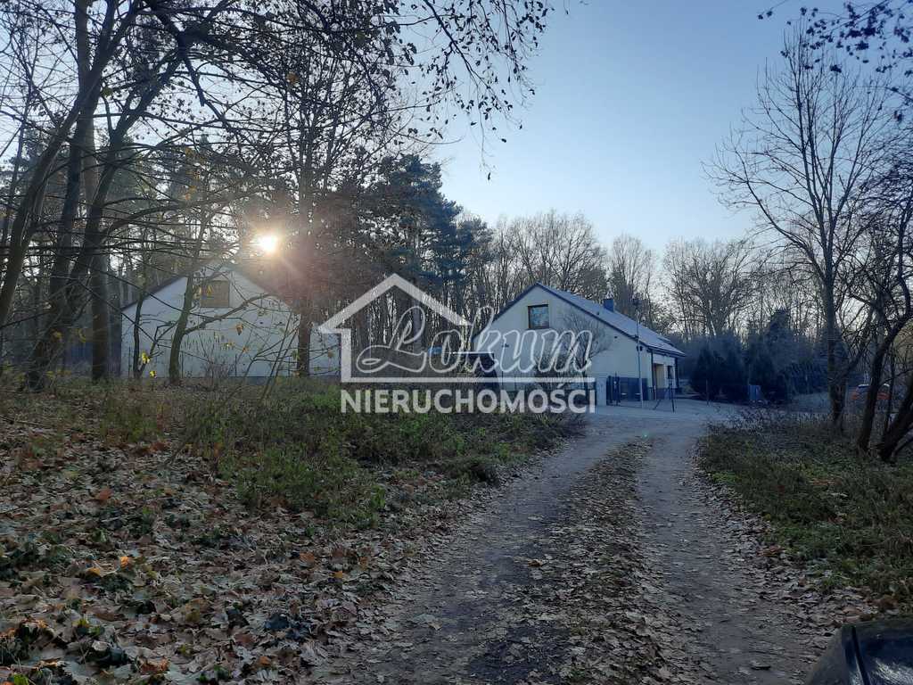 Działka budowlana 1059 m², Czepino - zdjęcie 2
