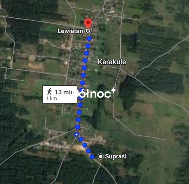 Działka budowlana 1000 m², Karakule - zdjęcie 9