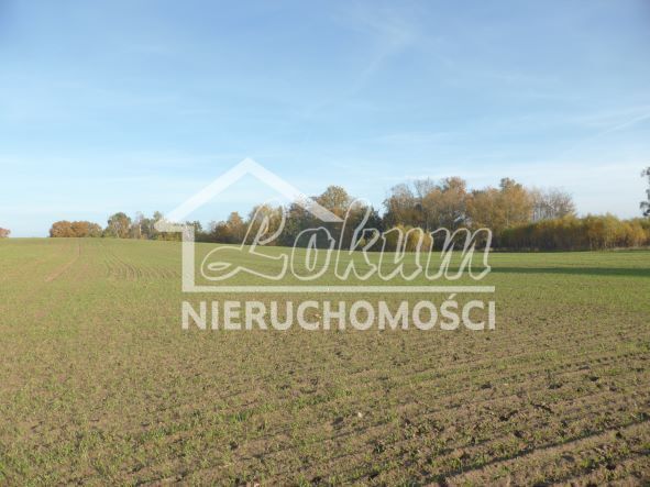 Działka budowlana 803&nbsp;m², Buk - zdjęcie 1