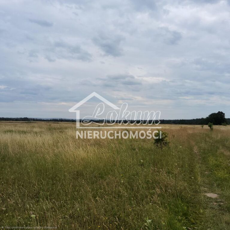 Działka budowlana 803&nbsp;m², Buk - zdjęcie 3
