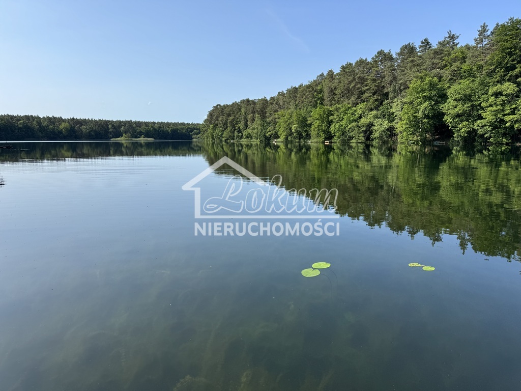 Dom 350&nbsp;m², Danków - zdjęcie 5